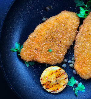 Vega Safepro cultures use fermentation to keep plant-based meat fresh