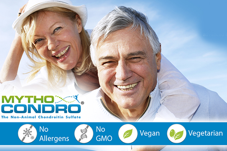 Vegetarian Chondroitin Sulfate