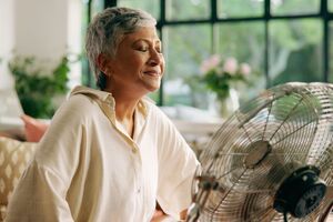 Vidya launches botanical menopausal support supplement ShataVida
