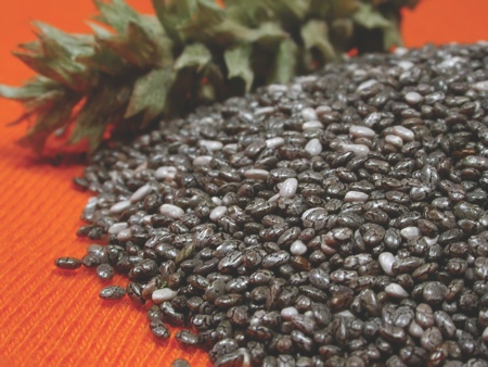 Vitafoods preview: EC novel food approval in progress for BENEXIA chia oil