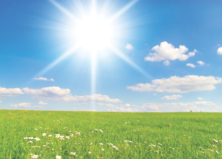 Vitamin D: exploring the awareness gap