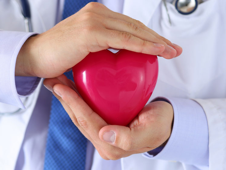 Vitamin K-dependent processes linked to vascular calcification and oxidative stress 