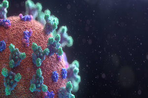 Vitamin K supplementation may improve COVID-19 outcomes