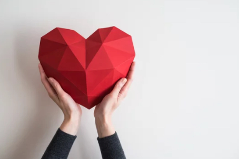 Vitamin K2 as MK-7 supplementation supports cardiovascular health, says two clinical studies