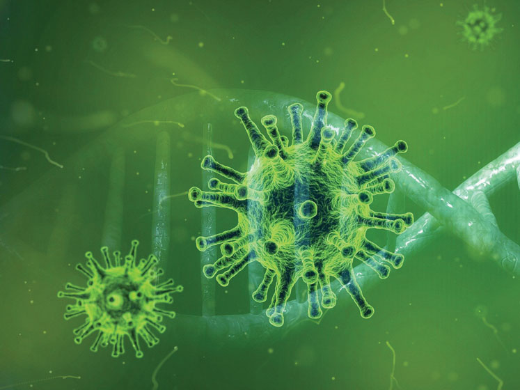 Vitamin K2 deficiency link to COVID-19 mortality explained in new paper