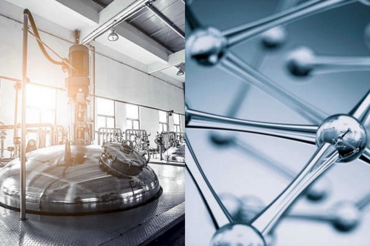 Vitamin K2: organic synthesis vs fermentation