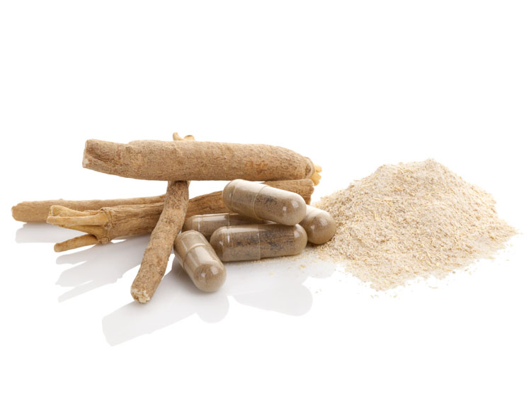 Viwithan: an ashwagandha extract to improve and restore cognitive function