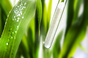 Wacker and Biosyntia develop large-scale sustainable biotin process