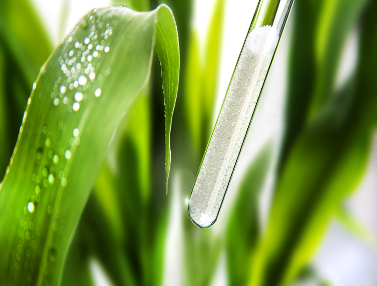 Wacker and Biosyntia develop large-scale sustainable biotin process