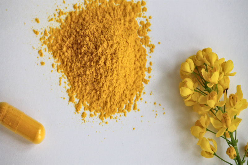 WACKER and EVANIUM partner to bring next-generation berberine to the global market