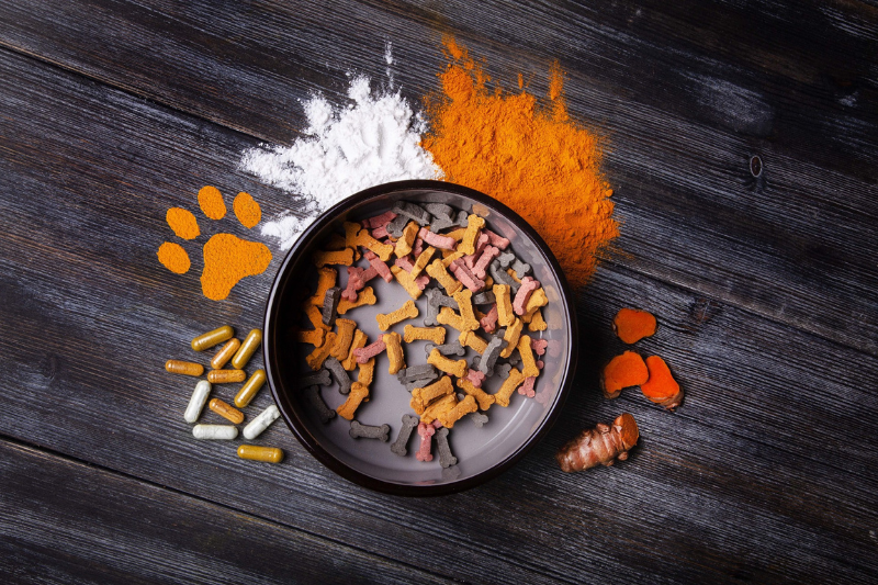 WACKER gains EU approval for L-cysteine and L-cystine pet food additives
