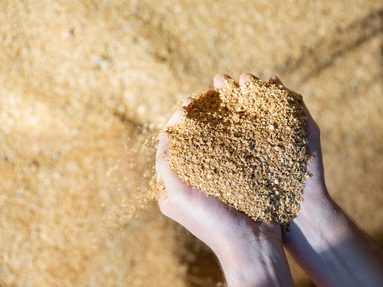 Waste streams in food: the perfect opportunity to develop sustainable, value-added products