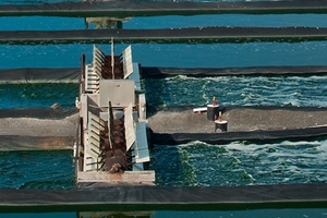 Weather impacts algae production as Cyanotech manages one-time costs