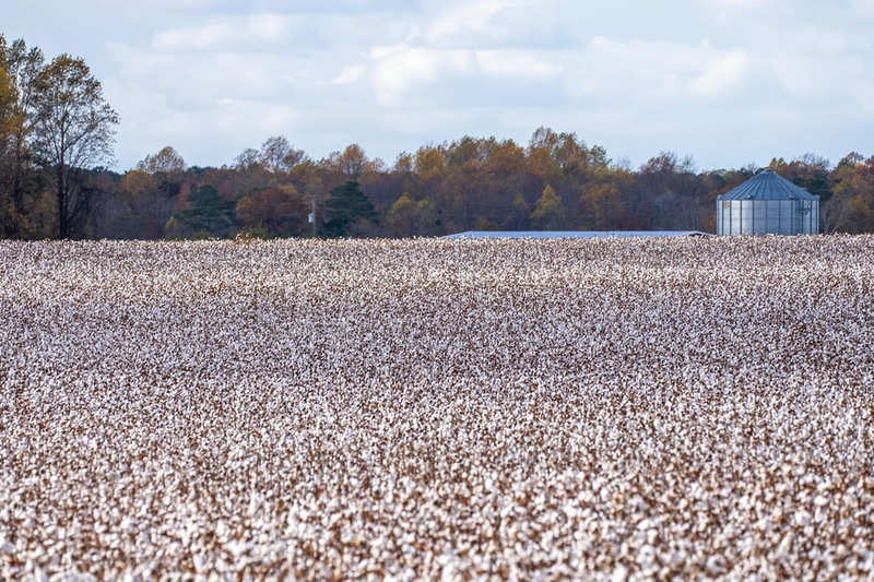 WeedOUT raises $8.1m to fight weed resistance
