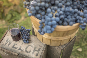 Welch’s says 2018 could be the Year of the Concord Grape as mindfulness is named the top food and beverage trend 
