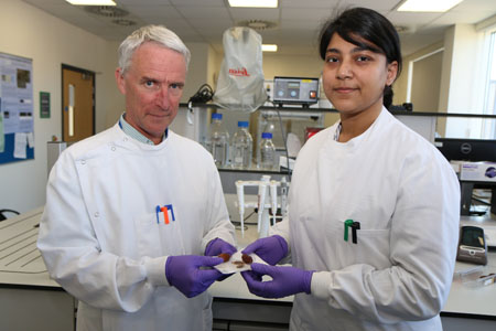 Welsh and Syrian scientists use date seeds to conquer toxins