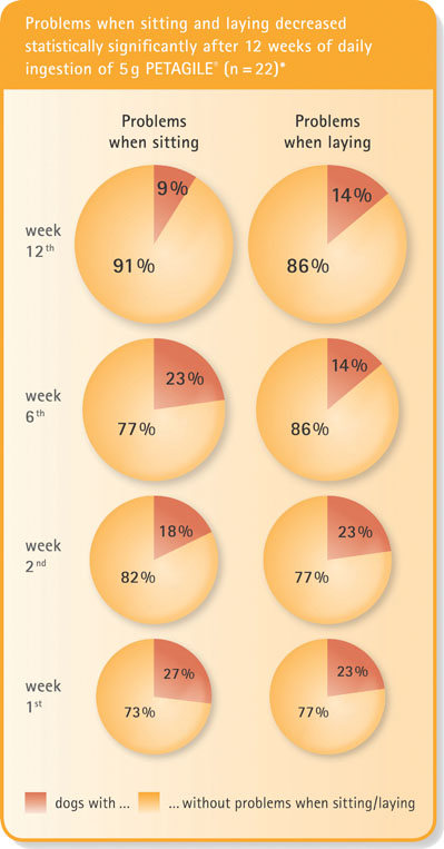 Figure 1: Problems when sitting and laying decreased statistically significantly after 12 weeks of daily ingestion of 5 g of PETAGILE (n=22) 