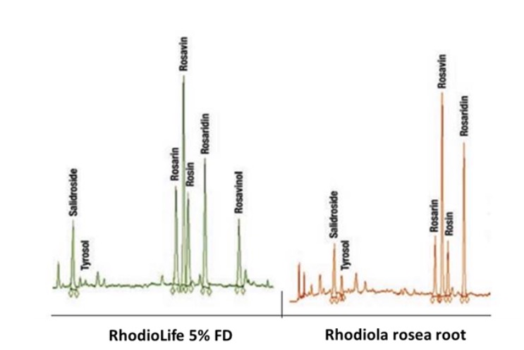 When it comes to Rhodiola rosea, identity matters to your customers