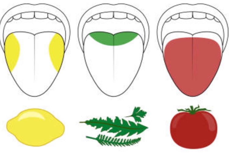 White paper unravels the science behind umami