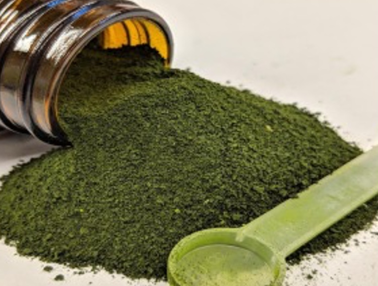 Whole-cell algae consumption reduces gastrointestinal issues