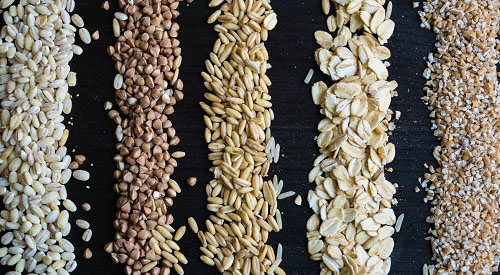 Whole grains exert health benefits independent of microbiome response