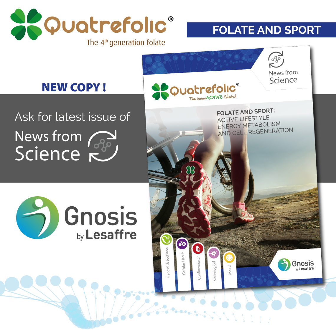 Why Active Folate 5-MTHF is an ally in sports nutrition