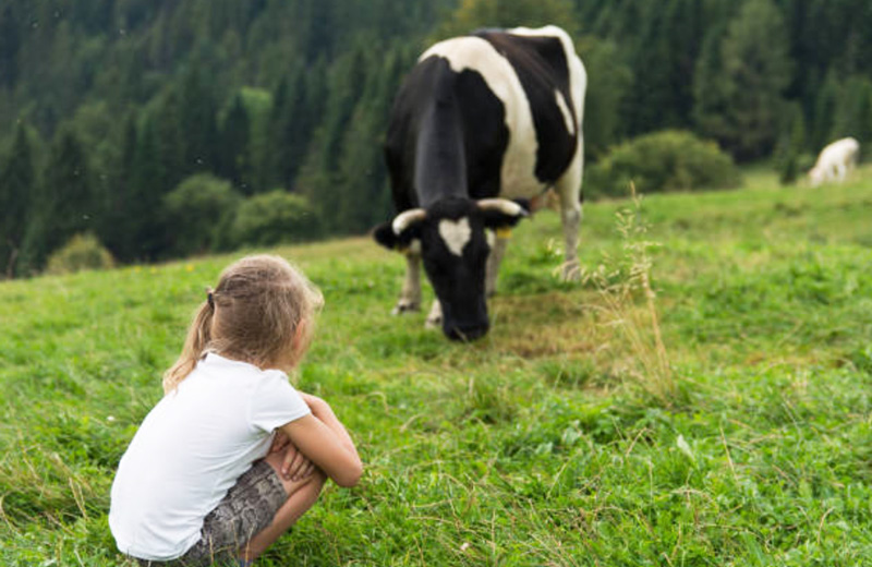 Why should you choose Ingredia’s Prodiet milk proteins?