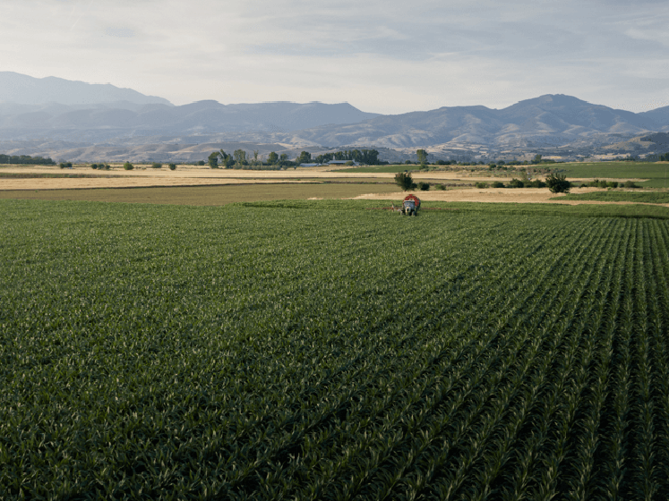 Yara helps farmers combat the effects of climate change and improve nutrient use efficiency