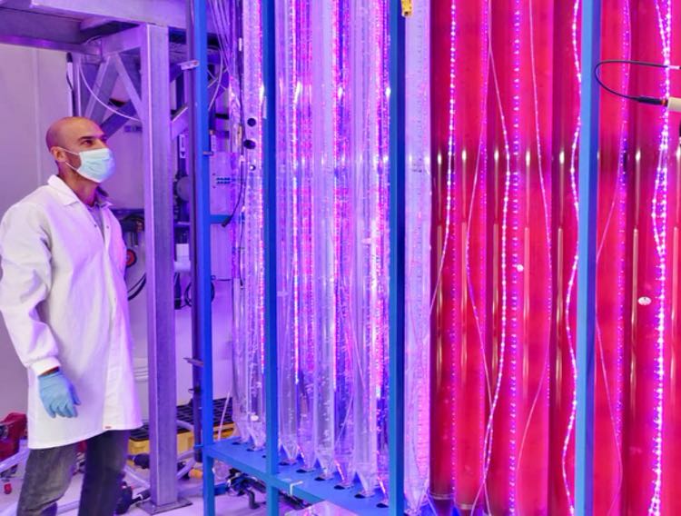Yemoja creates customised microalgae platform