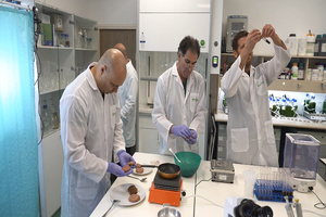 Yemoja develops algae formulation to simulate meat juices