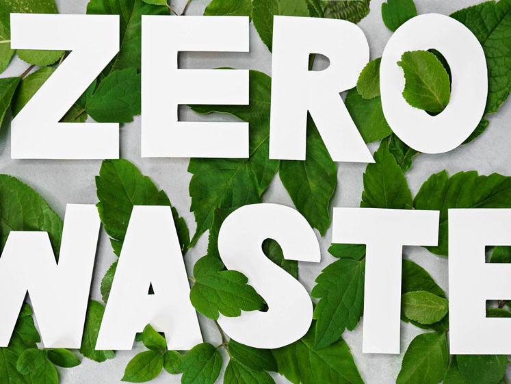 Zero-waste future for nutraceuticals