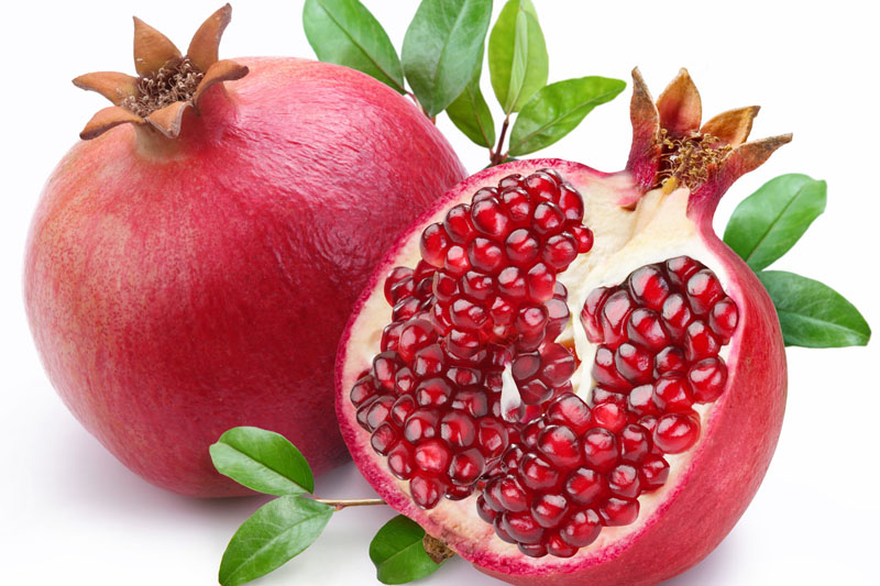 ZeusHygia Lifesciences introduces Grantria for improved skin health and appearance
